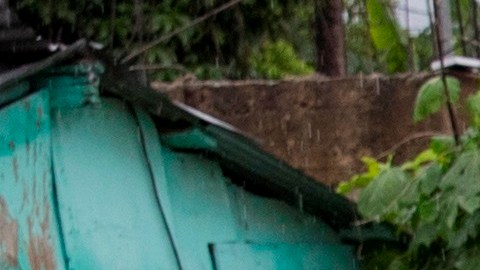 Tormenta Fred