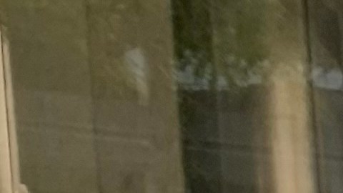 Alberta Vivaldo exige protecciones inmediatas a inquilinos