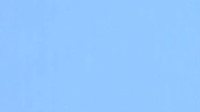 Alaïa le pide un hermanito a Adamari López con el nuevo bebé que llegó a su casa.