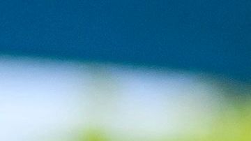 La meta es aumentar el porcentaje de menores inmunizados, ya que hasta ahora solo el 14% de elegibles ha recibido una dosis.