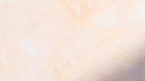 Alimentos ricos en vitamina K