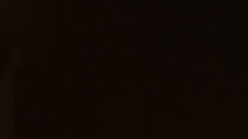 Vicente y Alejandro Fernández.