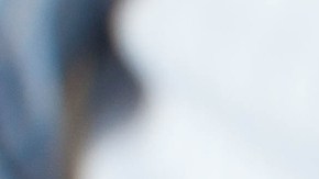 Article-8-Hero-Image_GettyImages-934803280