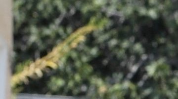 Ben Affleck no estuvo con Jennifer Lopez en su cumpleaños.