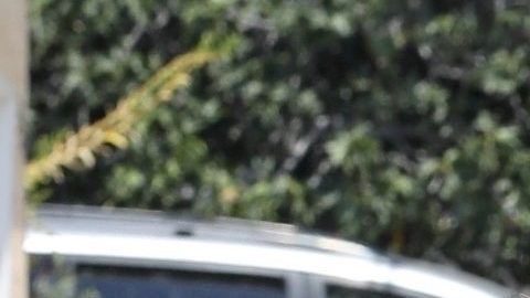 Ben Affleck no estuvo con Jennifer Lopez en su cumpleaños.