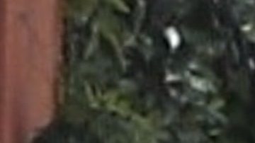 Fotos. Ben Affleck, novio de JLO, asistió a centro de rehabilitación en Malibú en su batalla contra el alcoholismo.