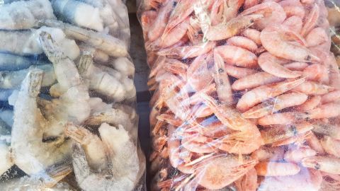 Camarón congelado Salmonela
