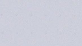 Chiquis Rivera mueve la colita al ritmo de la música con unos leggings ultrapegados.