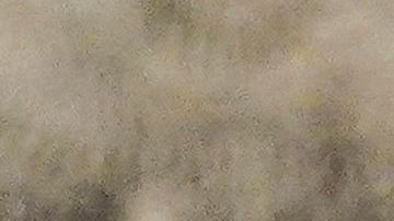 Ex gobernador Andrew Cuomo.