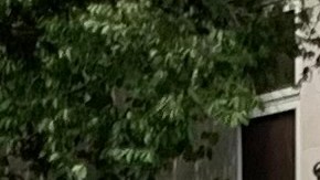 Gobernadora Hochul anunció orden de uso de máscaras en todas las escuelas