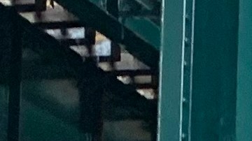 Este domingo la Northern Boulevard se vestirá de amarillo, azul y rojo con el Desfile Ecuatoriano en Queens