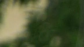 Dominicanos de Nueva York festejarán con desfile híbrido por precacución ante el COVID