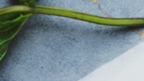 Dieta síndrome metabólico