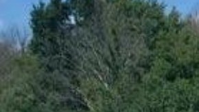 El autobús se volcó en la Interestatal 90, en el estado de Nueva York.