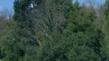 El autobús se volcó en la Interestatal 90, en el estado de Nueva York.