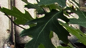 El vecindario acogió muy bien el lugar por traer un cambio refrescante con una comida elaborada con productos de temporada./Cortesía