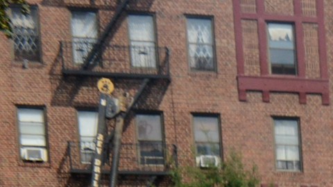 Cada año el ‘J’ouvert Festival’ reúne en Brooklyn a miles de neoyorquinos originarios de las islas caribeñas.