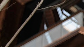 El Vessel está cerrado en forma indefinida.