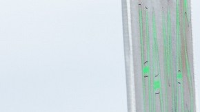 Se perfila que haya menos población blanca en EE.UU.