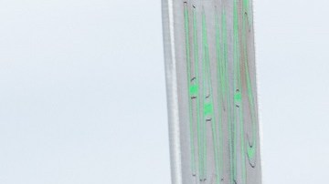 Se perfila que haya menos población blanca en EE.UU.