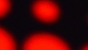 El tatuaje de Anderson Paak que detalla qué hacer con su música una vez que él muera.