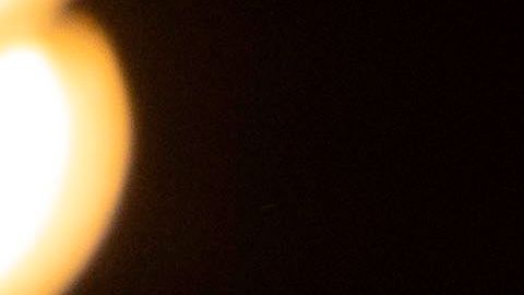 Muere de cáncer el padre de Pink.