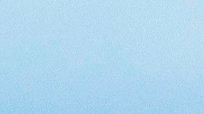 Su hermano fue el encargado de revelar el fallecimiento un día después de la transmisión del video.