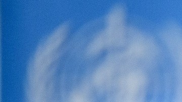 El director de la OMS, Tedros Adhanom Ghebreyesus.