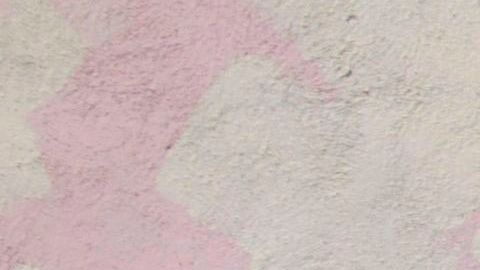 Bandera Republica Dominicana