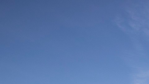 Hay 70,000 empleados de temporada en las zonas rurales de NY