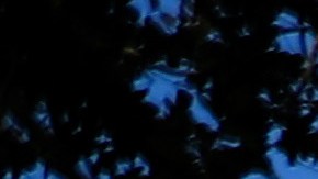 Los gastos del funeral aún no se han podido cubrir, por lo que abrieron GoFundMe.