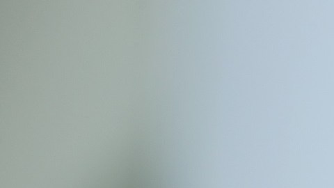 La exprimera dama Melania Trump.