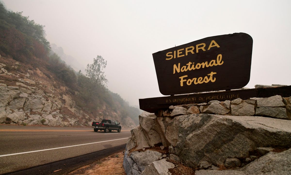 Los cuerpos de los fallecidos fueron hallados en una zona remota del Bosque Nacional Sierra en Fresno.