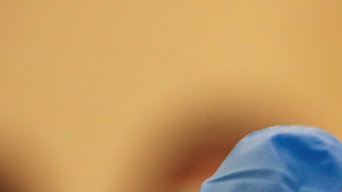 Médicos presionan para que vacuna contra COVID-19 sea obligatoria en Estados Unidos