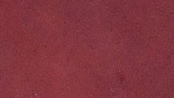 Anthony José Zambrano