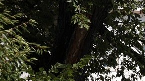 Casi cinco horas duraron las negociaciones con el sujeto.