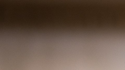 En algún momento del diálogo, el presidente Biden baja la mirada y parece que cerró los ojos.