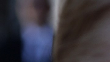 Mark Meadows afirmó que el "presidente" Trump ha tenido reuniones con su "gabinete".