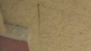 Video: Maestro y alumno se van a los puños en escuela de Kentucky por supuesto comentario racista