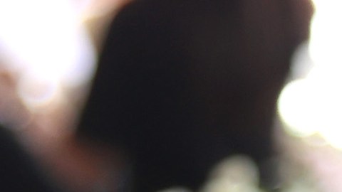 El gobernador Andrew Cuomo podría potencialmente enfrentar cargos criminales por los casos de acoso sexual.