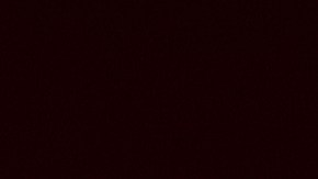 El vicegobernador de Texas Dan Patrick.