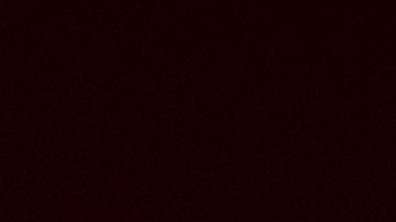 El vicegobernador de Texas Dan Patrick.