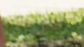 Pagos IRS Credito tributario por hijos