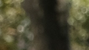 Desalojos renta alquiler vivienda