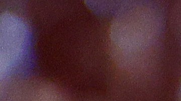 Covid en EEUU y vacunas