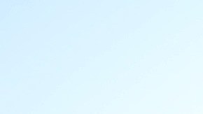 Refugiados Afganistan Virginia