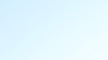 Refugiados Afganistan Virginia