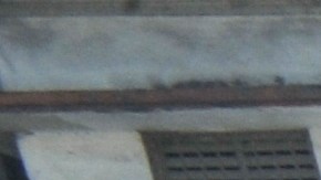 Terremoto 2010 Haiti