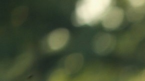 Barack Obama celebrará su cumpleaños 60 con una gran fiesta.