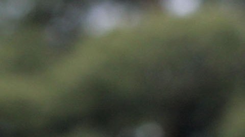 Familiares y conocidos se mantuvieron en las instalaciones del SIU para recordar a la adolescente y exigir justicia.